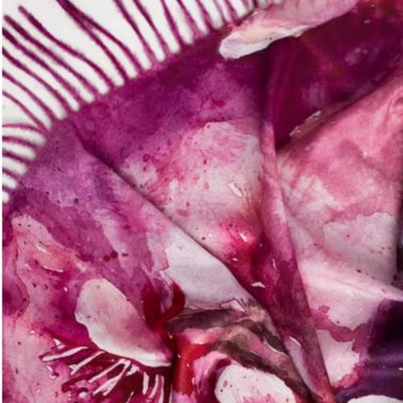 MELANIE LYNE:  Floral Print Scarf - fushia - Picture 1 of 6
